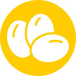 eggs