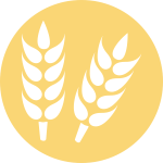gluten